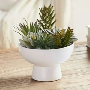 Better Homes & Gardens 8" Artificial Mixed Succulent Pants in Ceramic Bowl Plant